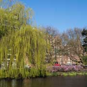 Along the Singelgracht