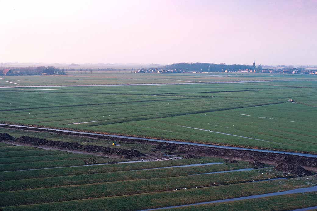 Meadows at Ysbrechtum