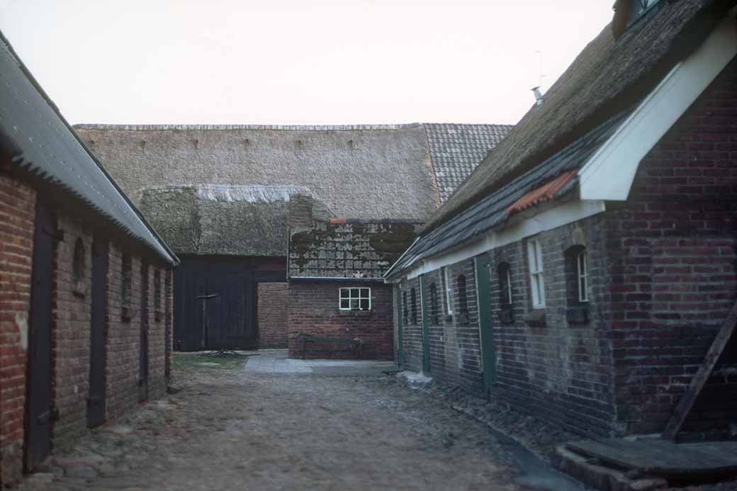 Farm courtyard