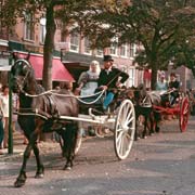 Ringsteken in Harlingen