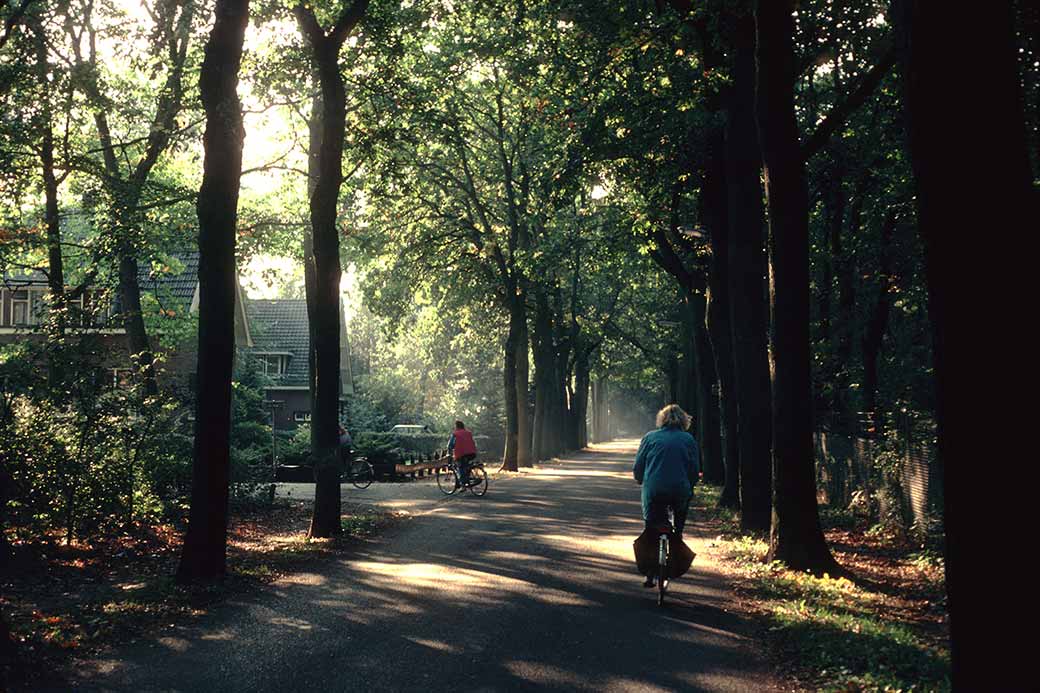 Near Vaassen