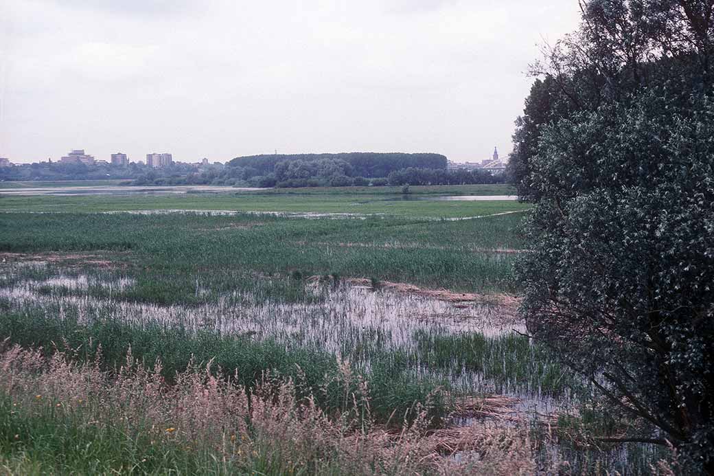 Uiterwaarden, Nijmegen