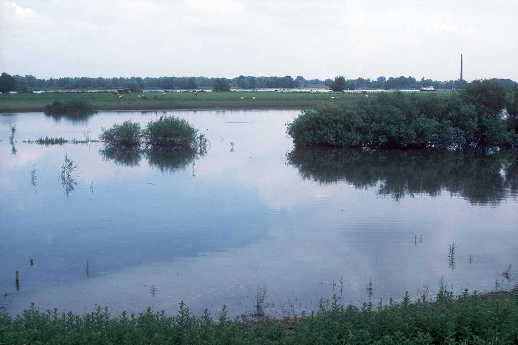 View to the Waal