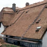 New roofing thatch