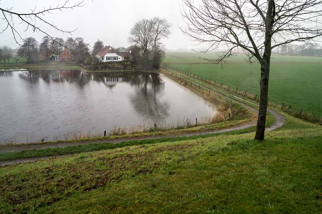 View from wierde, Ezinge