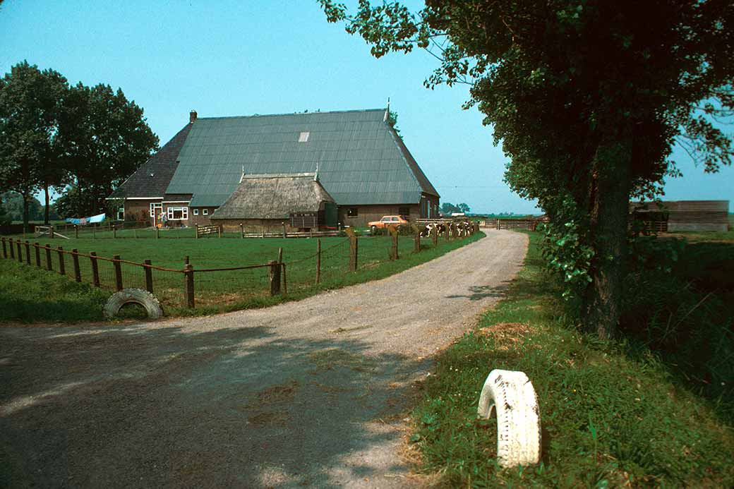 Farm near Sexbierum