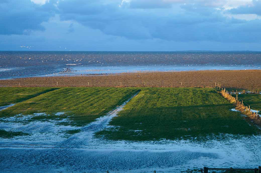 The Waddenzee