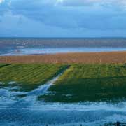 The Waddenzee