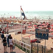 Summer in Zandvoort