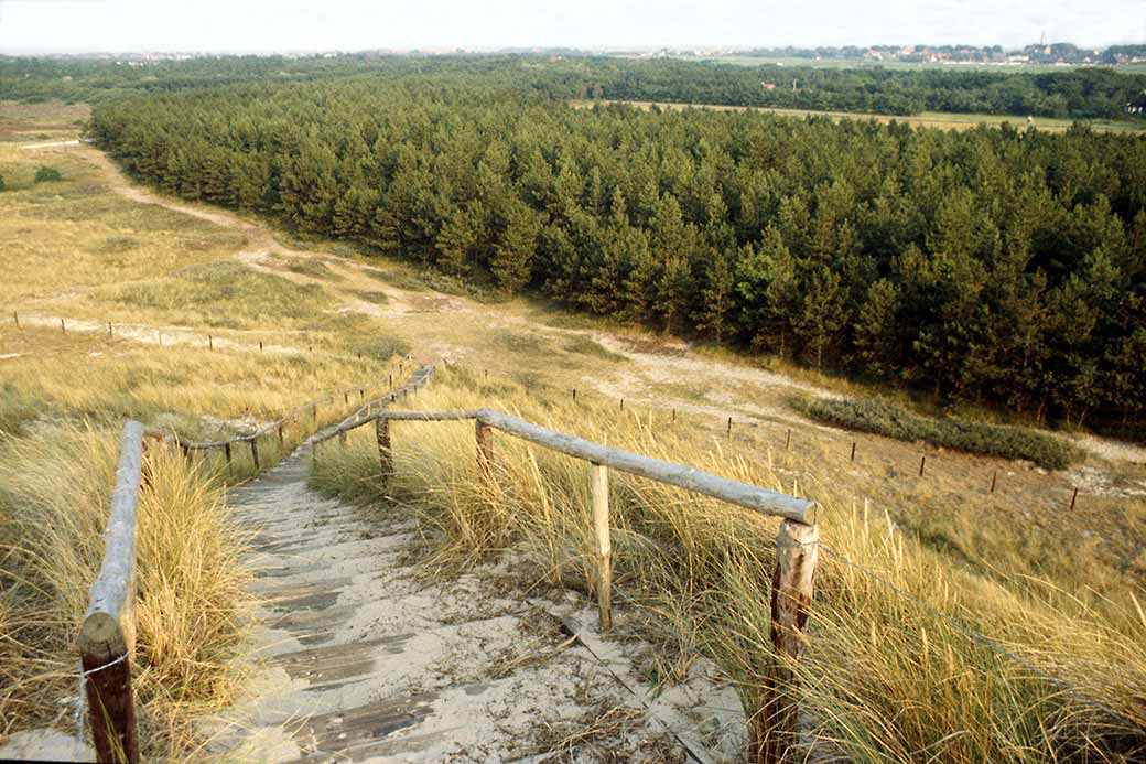 View to Formerumerbos