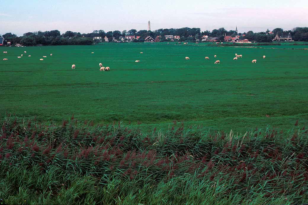 View to the village