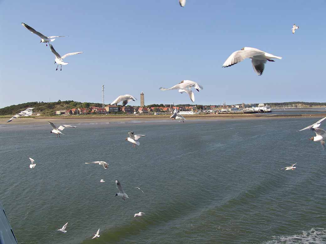 Accompanying the ferry