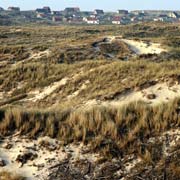 Dunes on Terschelling