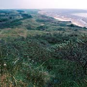 De Hon, Ameland