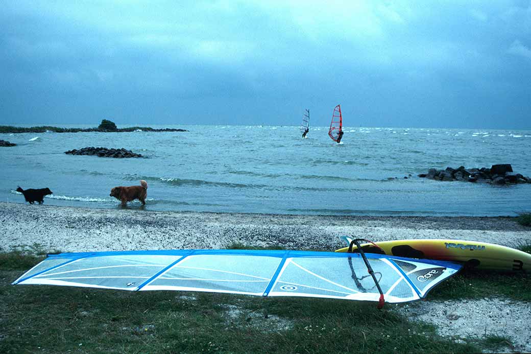 Windsurfing, IJsselmeer