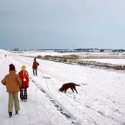 Snow near Harlingen