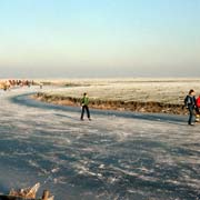 Skating near Franeker