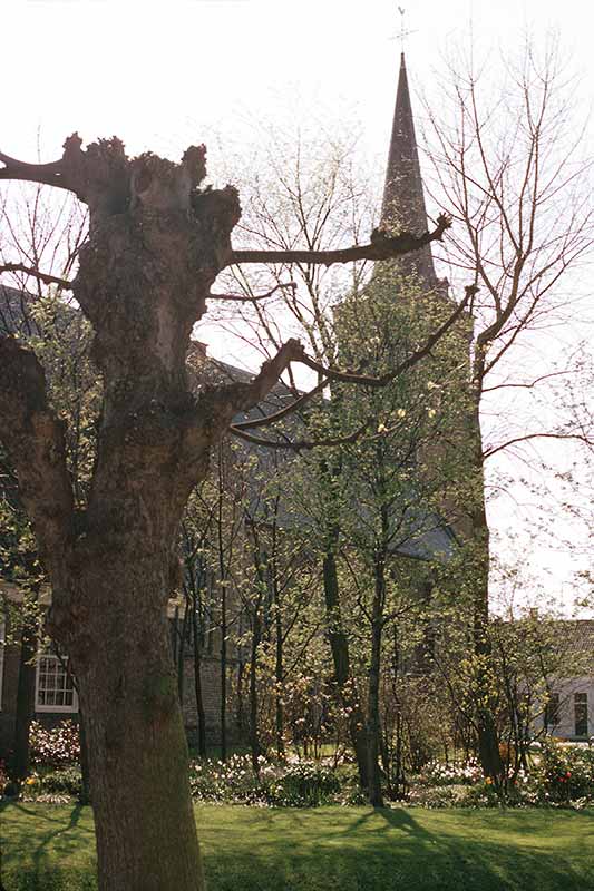 Church in Dreischor