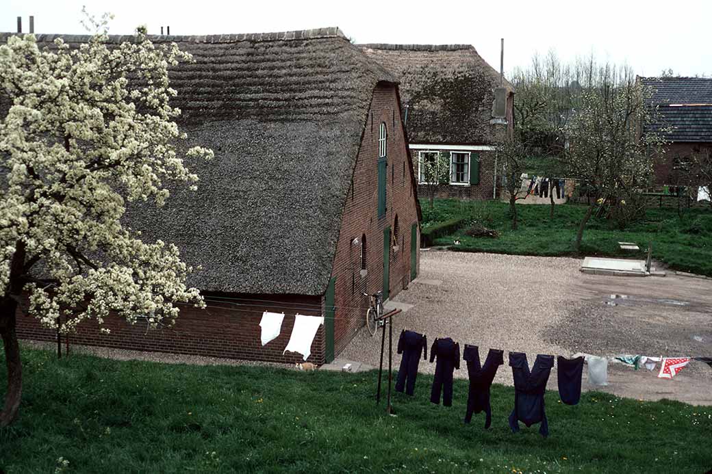 Farm along the dyke