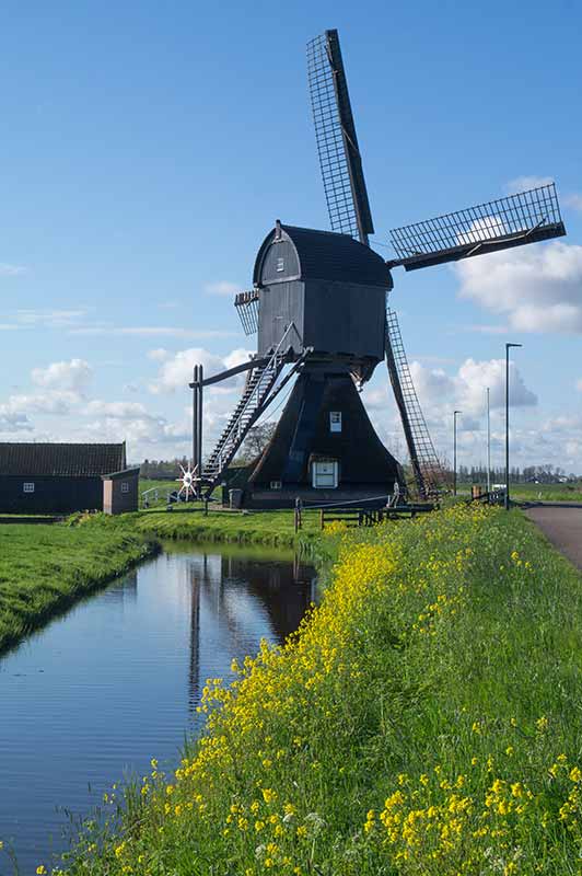 Scheiwijkse Molen