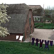 Farm along the dyke