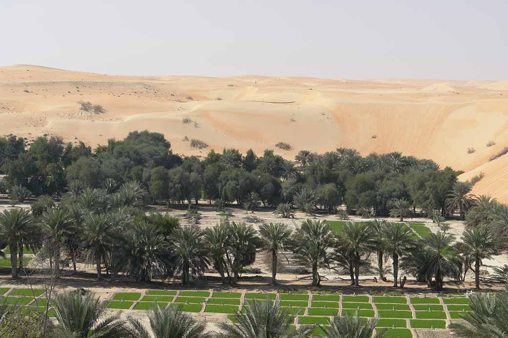 Oasis in the desert