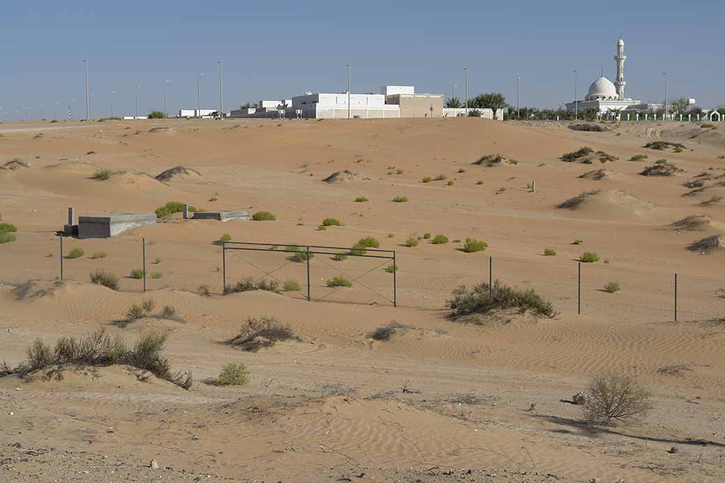 Village in Liwa oasis