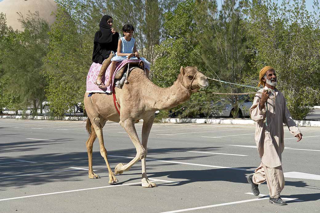 Riding a camel