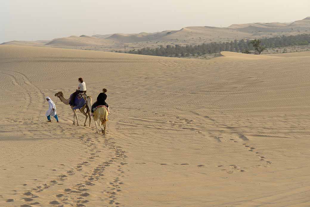 Tourist camel ride