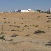 Village in Liwa oasis