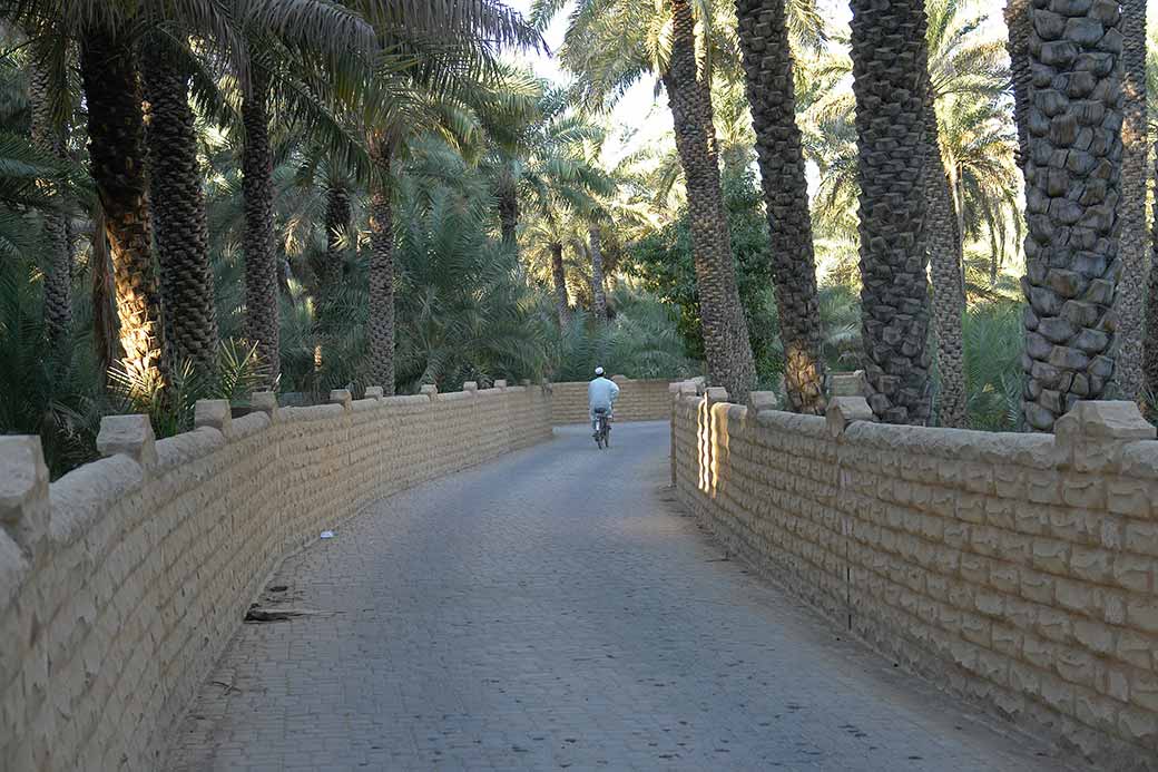 Al Ain Oasis alley