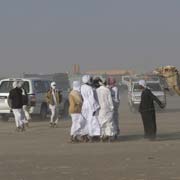 At the camel market