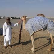 Holding a camel 