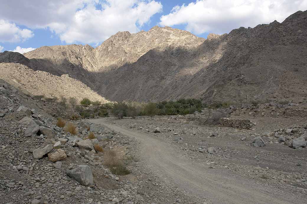 Road near Nahwa