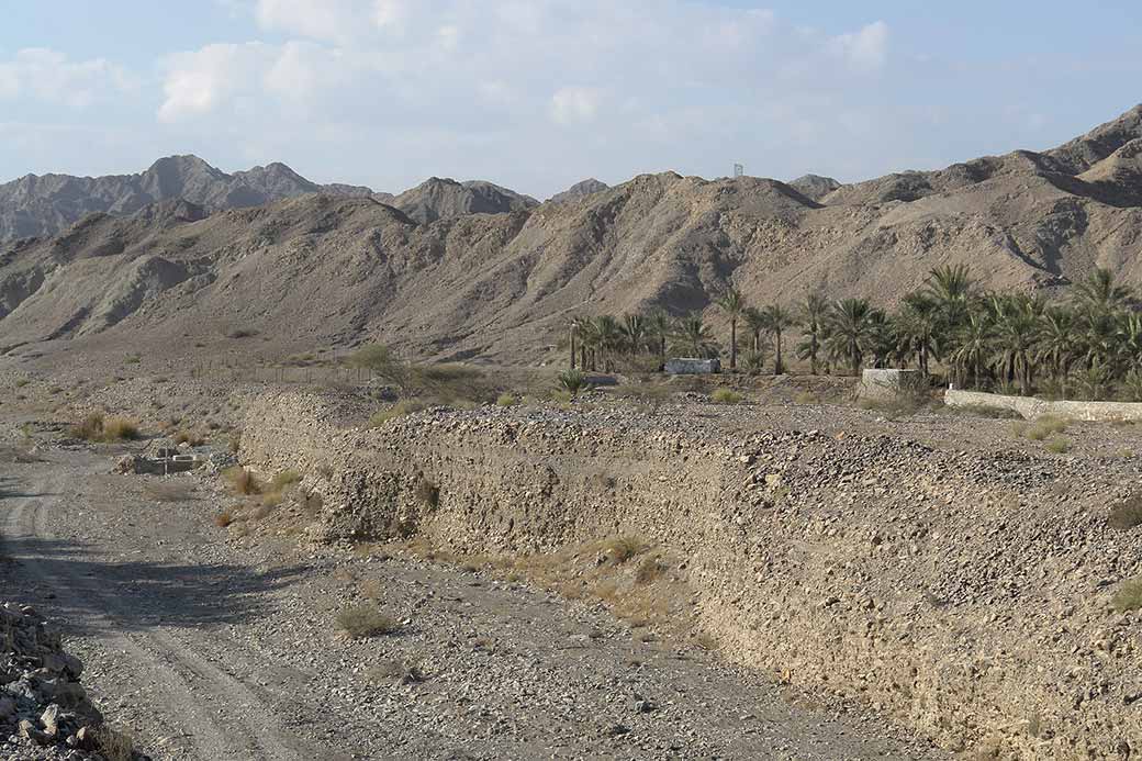 Wadi near Masafi