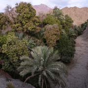 Wadi along the road