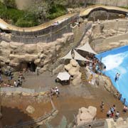 In Wild Wadi Water Park