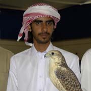 Displaying his falcon