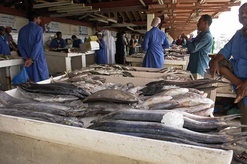 Fresh fish for sale