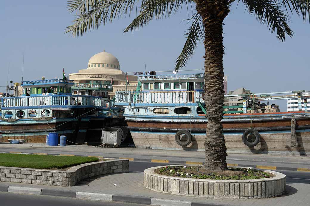 Along Sharjah Creek