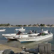 Fishing boats